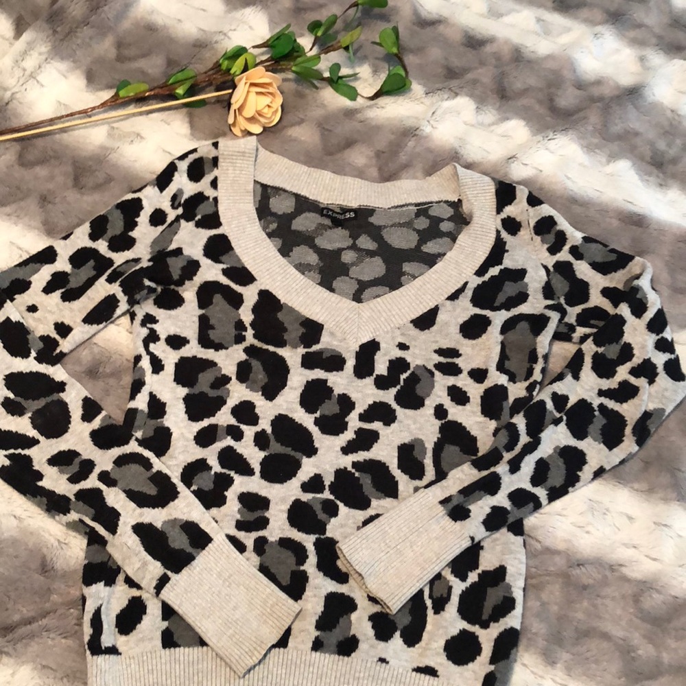 *EXPRESS* Chic V-Neck Sweater Sz S